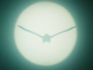 スーパー戦隊シリーズ 18. évad Ep.23 23. rész