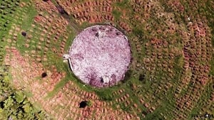 Sad Hill Unearthed háttérkép