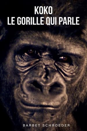 Koko, le gorille qui parle poszter