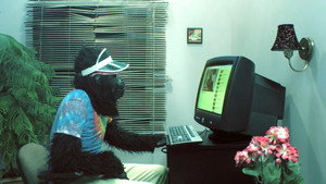 Peter's Computer - Gorilla Video háttérkép