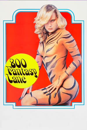 800 Fantasy Lane poszter