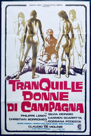 Tranquille donne di campagna poszter