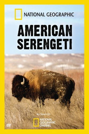 American Serengeti poszter
