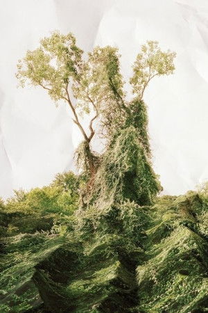 Kudzu poszter