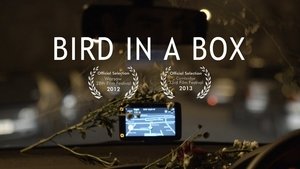 Bird in a Box háttérkép