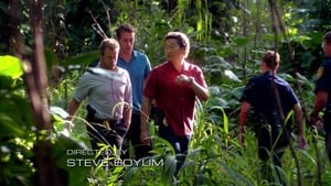 Hawaii Five-0 2. évad Ep.17 A hagyományőrzők