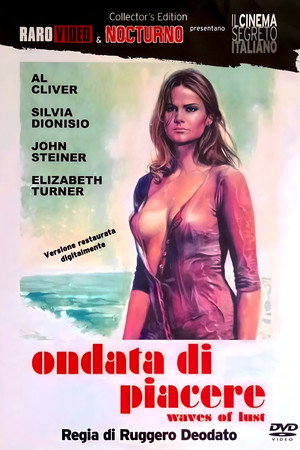 Una ondata di piacere poszter