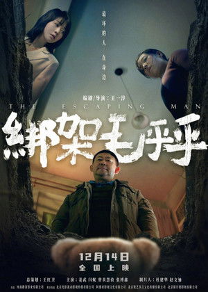 绑架毛乎乎 poszter