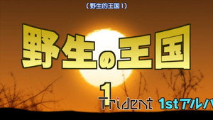 蒼き鋼のアルペジオ -アルス・ノヴァ- Speciális epizódok Ep.17 17. epizód