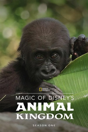Magic of Disney's Animal Kingdom