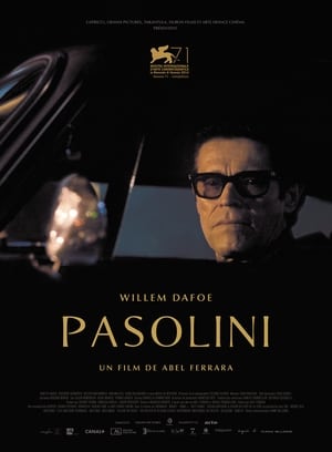 Pasolini poszter