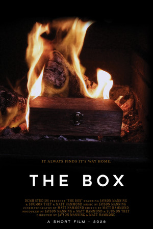 THE BOX poszter