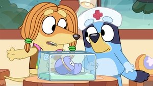 Bluey 1. évad Ep.40 Kora baba