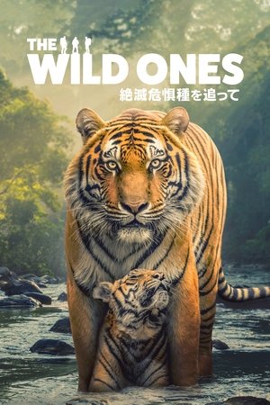 The Wild Ones poszter
