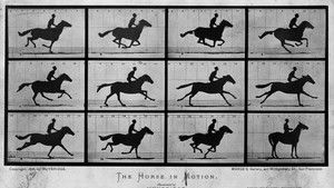 Sallie Gardner at a Gallop háttérkép