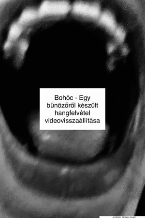 Bohóc – Egy bűnözőről készült hangfelvétel videovisszaállítása