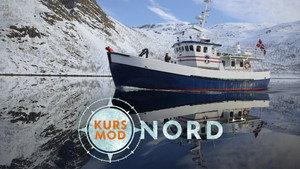 Kurs mod nord kép