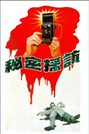 秘密采访 poszter