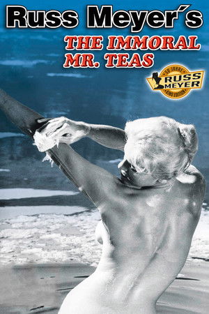 The Immoral Mr. Teas poszter