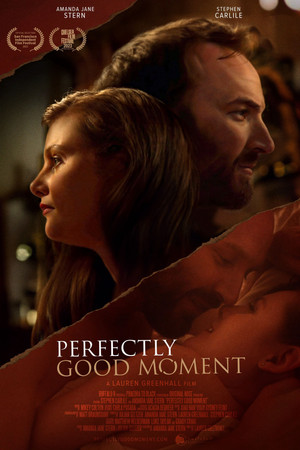 Perfectly Good Moment poszter
