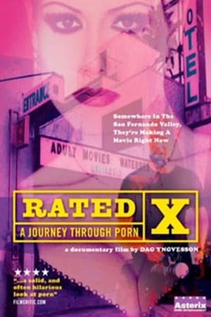 Rated X: A Journey Through Porn poszter