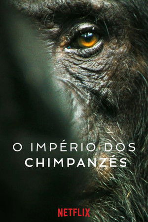 A csimpánzok birodalma poszter