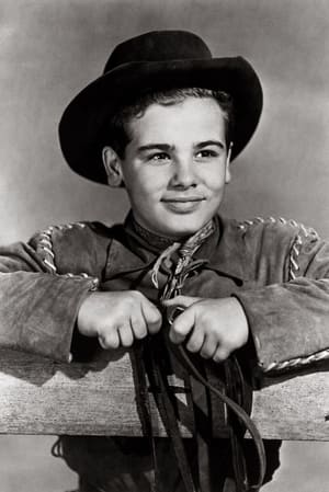 Dean Stockwell profil kép