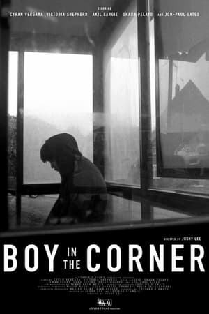 Boy in the Corner poszter