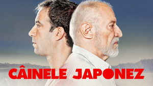 Câinele japonez háttérkép