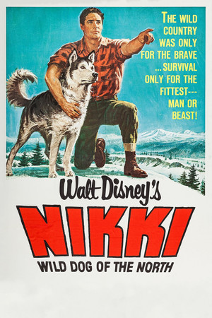 Nikki, észak vad kutyája poszter