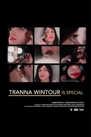 Tranna Wintour Is Special poszter