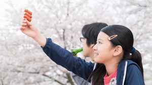 彼らが本気で編むときは、 háttérkép