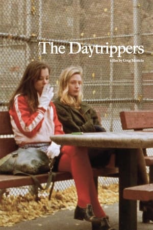 The Daytrippers poszter