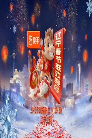 2026年辽宁卫视春节联欢晚会 poszter