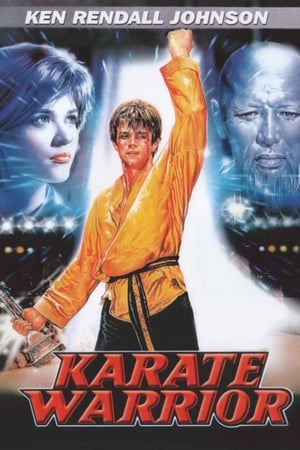 Karate harcos poszter