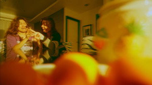 CITRUS háttérkép