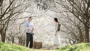 된장 háttérkép