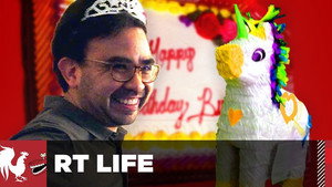 RT Life Season 6 Ep.5 5. epizód