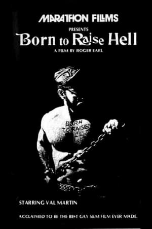 Born to Raise Hell poszter