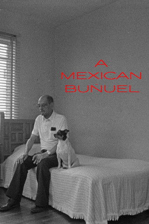 Un Buñuel mexican poszter