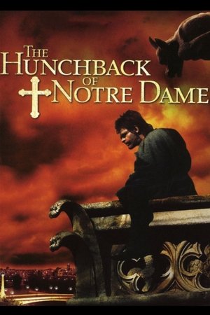A Notre Dame-i toronyőr poszter