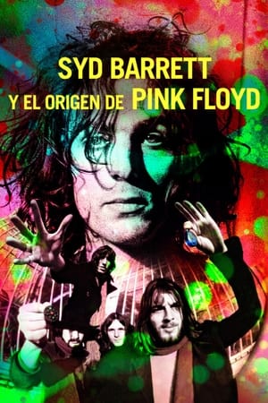 Have You Got It Yet? The Story of Syd Barrett and Pink Floyd poszter