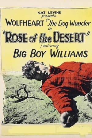 Rose of the Desert