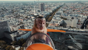 Akiko, der fliegende Affe háttérkép