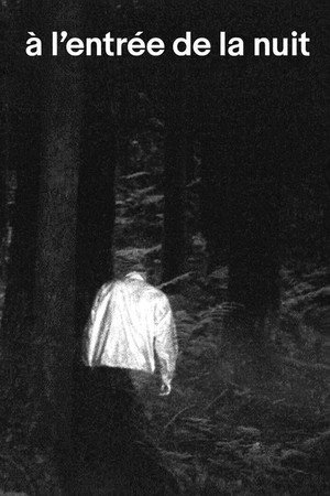 À l'entrée de la nuit poszter