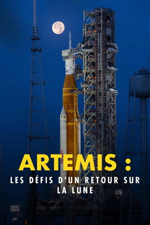 Artemis: To the Moon and Back poszter