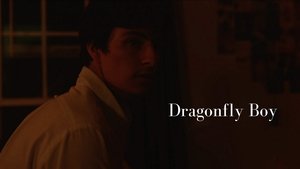 Dragonfly Boy háttérkép