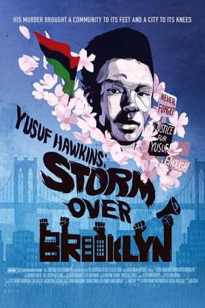 Yusuf Hawkins: Storm Over Brooklyn poszter