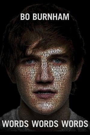 Bo Burnham: Words, Words, Words poszter