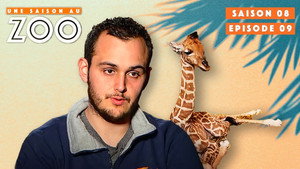 Une saison au zoo Season 8 Ep.9 9. epizód